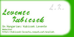 levente kubicsek business card